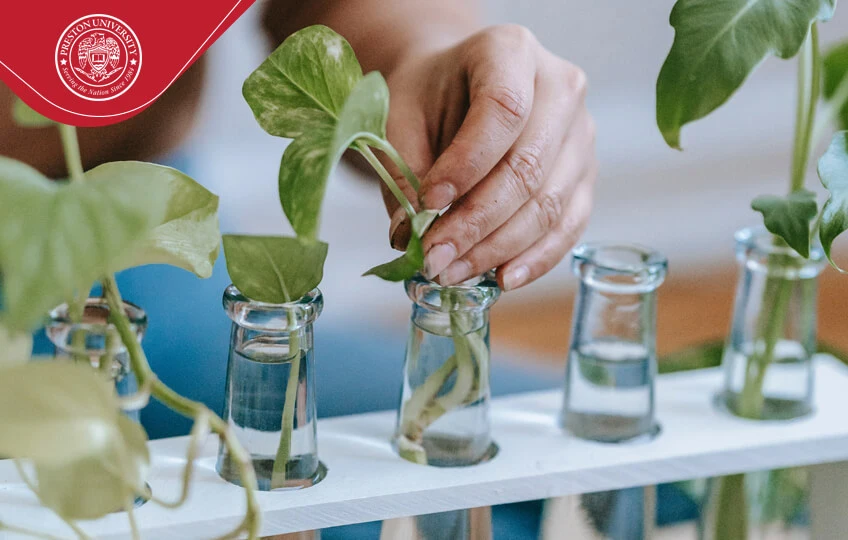 online diploma Courses pgd 1 year in environment management iosh nibosh osha course cetification course in islamabad rawapindi pakistan